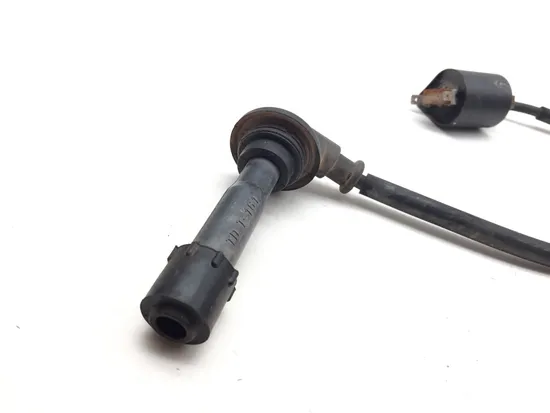 Ignition Coil 2017 Yamaha Wolverine R-Spec YXE70 4x4 FI EPS 3368