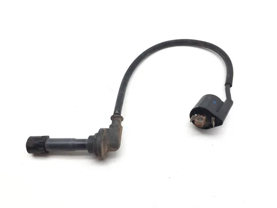 Ignition Coil 2017 Yamaha Wolverine R-Spec YXE70 4x4 FI EPS 3368