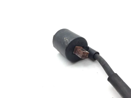 Ignition Coil 2017 Yamaha Wolverine R-Spec YXE70 4x4 FI EPS 3368