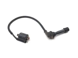 Ignition Coil 2017 Yamaha Wolverine R-Spec YXE70 4x4 FI EPS 3368