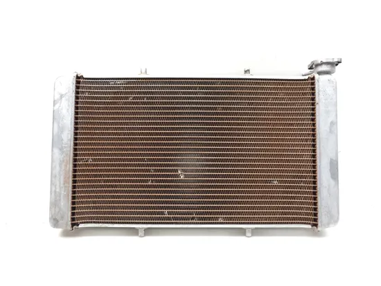 Engine Radiator Cooling 2017 Yamaha Wolverine R-Spec YXE70 4x4 FI EPS 3368