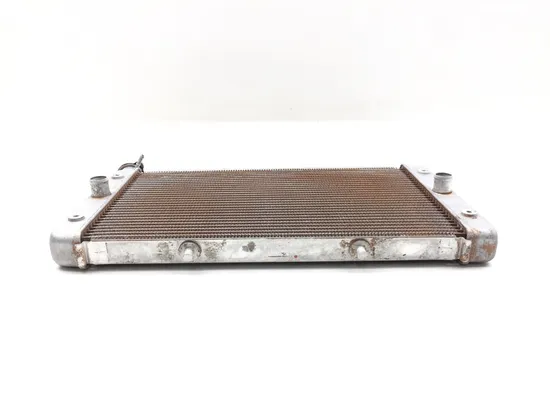 Engine Radiator Cooling 2017 Yamaha Wolverine R-Spec YXE70 4x4 FI EPS 3368