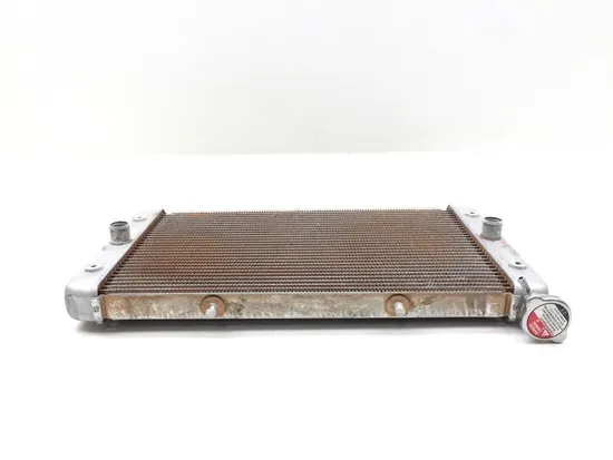 Engine Radiator Cooling 2017 Yamaha Wolverine R-Spec YXE70 4x4 FI EPS 3368