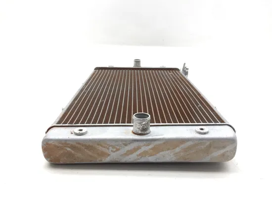 Engine Radiator Cooling 2017 Yamaha Wolverine R-Spec YXE70 4x4 FI EPS 3368