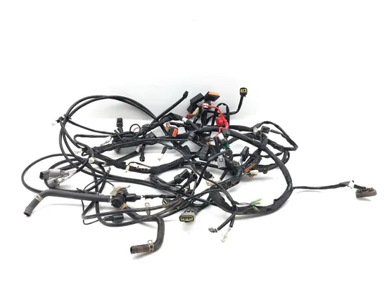 Main Engine Wiring Harness 2017 Yamaha Wolverine R-Spec YXE70 4x4 FI EPS 3368