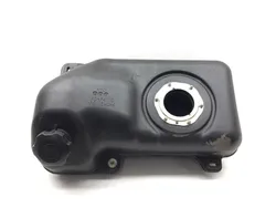 Gas Fuel Tank 2017 Yamaha Wolverine R-Spec YXE70 4x4 FI EPS 3368