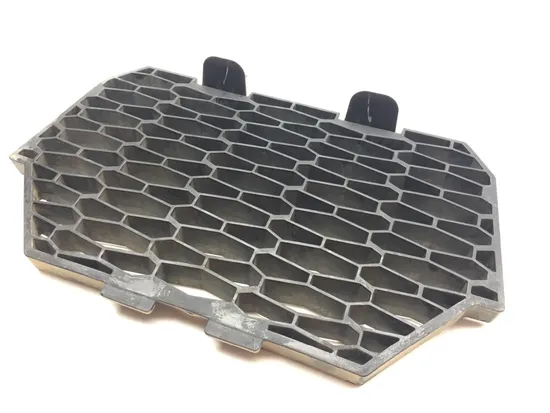 Engine Radiator Grill Guard 2018 Polaris RZR XP 1000 EPS 3364