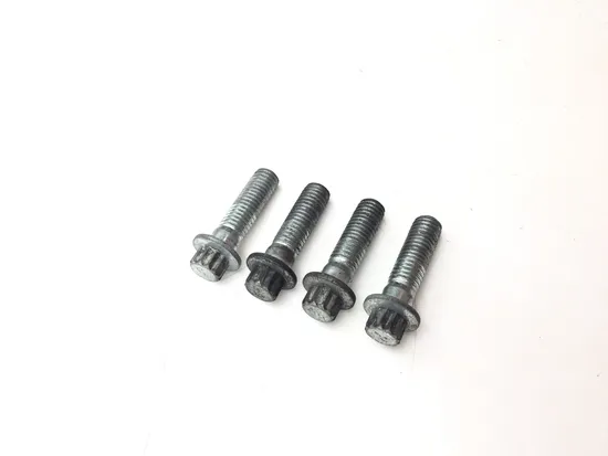 Front Brake Caliper Mounting Bolts 2007 Harley Sportster 1200 XL1200R 3363