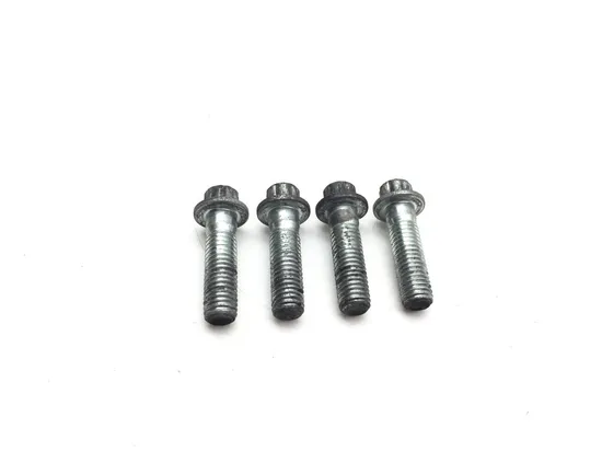 Front Brake Caliper Mounting Bolts 2007 Harley Sportster 1200 XL1200R 3363