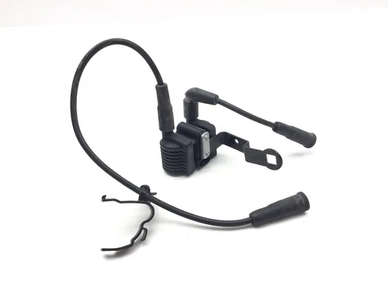 Ignition Coil Set 2007 Harley-Davidson Sportster 1200 Roadster XL1200R 3363