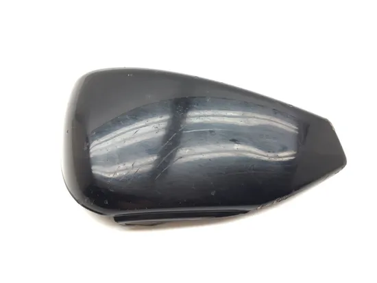 Left Side Cover 2007 Harley-Davidson Sportster 1200 Roadster XL1200R 3363 x