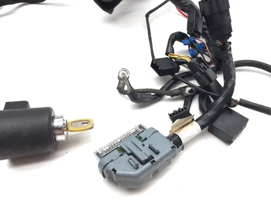 Main Engine Wiring Harness 2007 Harley Sportster 1200 Roadster XL1200R 3363