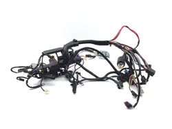 Main Engine Wiring Harness 2007 Harley Sportster 1200 Roadster XL1200R 3363