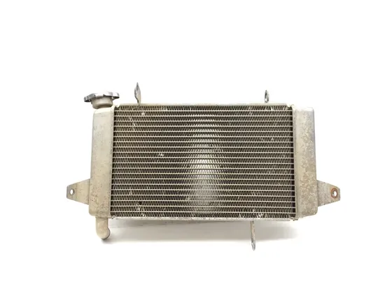 Engine Radiator Cooling 2013 Suzuki Quadsport Z400 LTZ400 2x4 3374 x 8