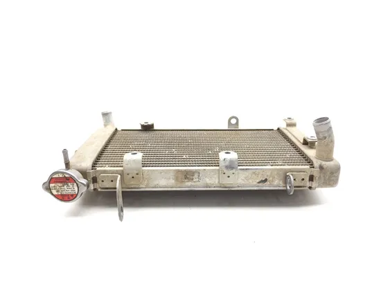 Engine Radiator Cooling 2013 Suzuki Quadsport Z400 LTZ400 2x4 3374 x 6