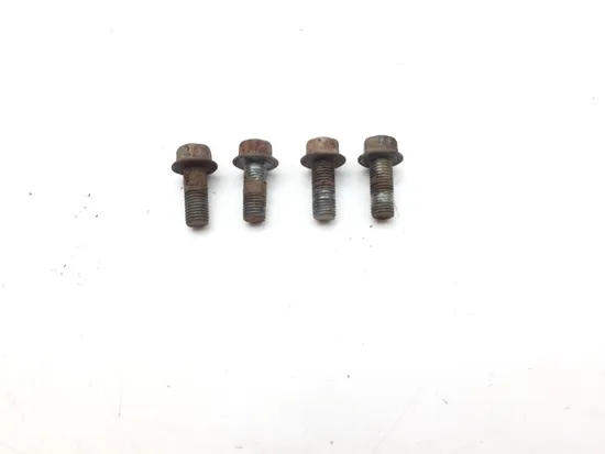 Footpeg Foot Peg Bolts 2013 Suzuki Quadsport Z400 LTZ400 2x4 3372