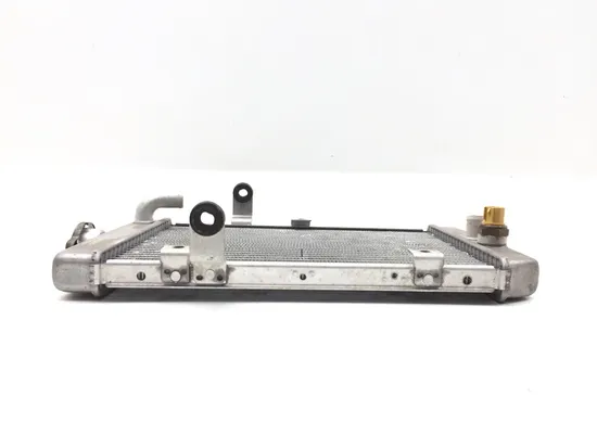 Engine Radiator Cooling Yamaha Raptor 660R YFM660R 163