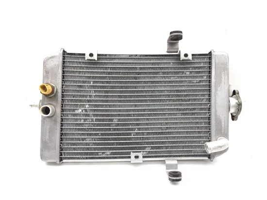 Engine Radiator Cooling Yamaha Raptor 660R YFM660R 163