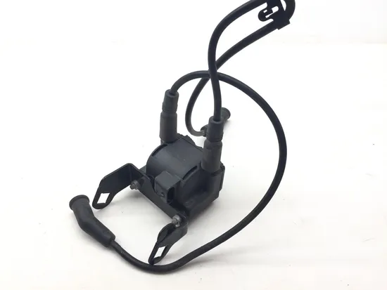 Ignition Coil Set 2005 Harley-Davidson Road King Classic EFI FLHRCI 3336