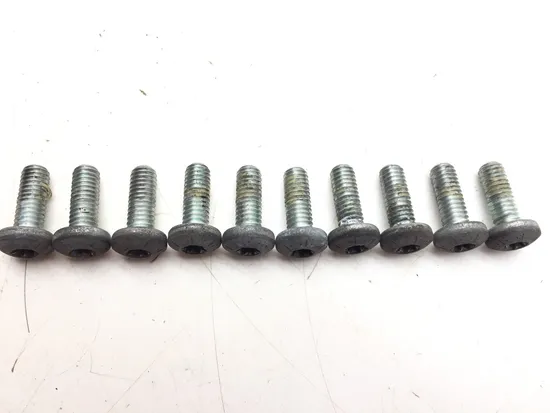 Front Brake Rotor Bolts 2005 Harley-Davidson Road King Classic EFI FLHRCI 3336