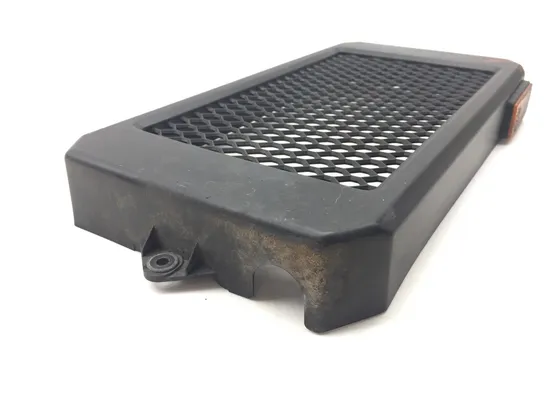 Engine Radiator Grill Guard 2005 Honda Shadow Sabre 1100 VT1100C2 3353 x 4