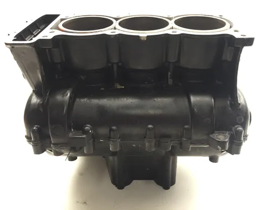 Upper Lower Center Cases Case 2001 Triumph Speed Triple 3373