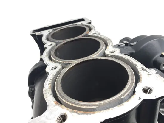 Upper Lower Center Cases Case 2001 Triumph Speed Triple 3373