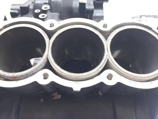 Upper Lower Center Cases Case 2001 Triumph Speed Triple 3373