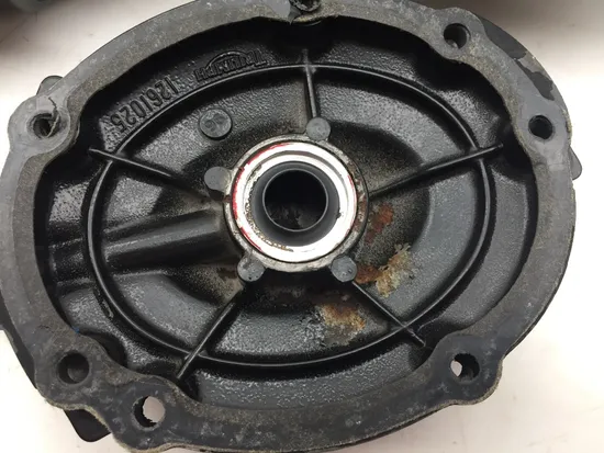 Engine Clutch Cover 2001 Triumph Speed Triple 3373 x