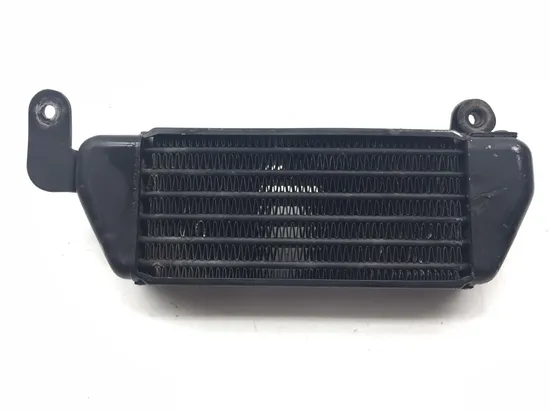 Engine Oil Cooler with Lines 2001 Triumph Speed Triple 3373