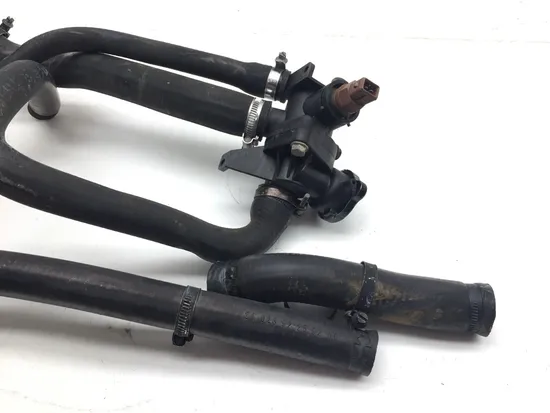 Engine Radiator Cooling Hoses 2001 Triumph Speed Triple 3373
