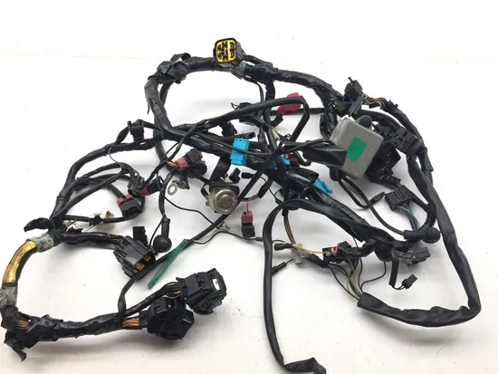 Main Engine Wiring Harness 2001 Triumph Speed Triple 3373