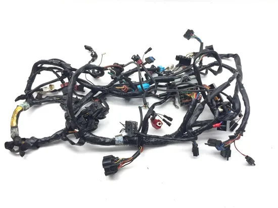 Main Engine Wiring Harness 2001 Triumph Speed Triple 3373