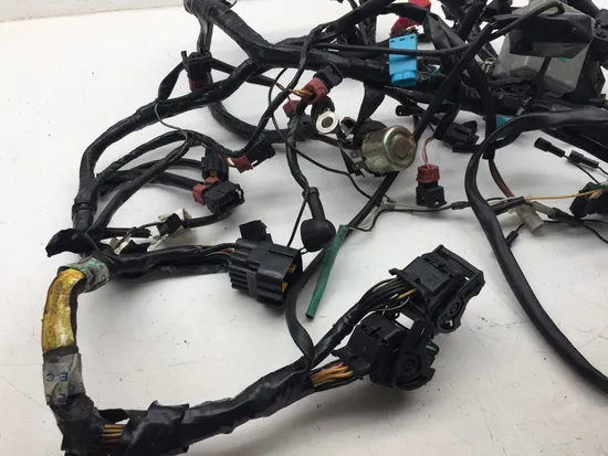 Main Engine Wiring Harness 2001 Triumph Speed Triple 3373