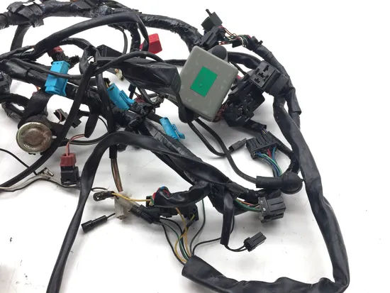 Main Engine Wiring Harness 2001 Triumph Speed Triple 3373