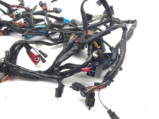 Main Engine Wiring Harness 2001 Triumph Speed Triple 3373