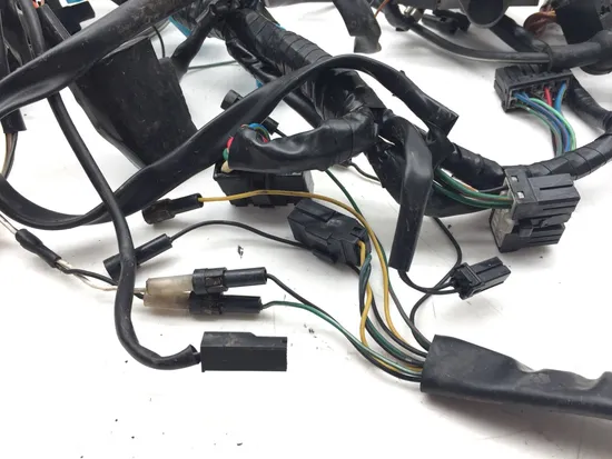 Main Engine Wiring Harness 2001 Triumph Speed Triple 3373