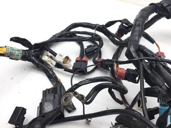 Main Engine Wiring Harness 2001 Triumph Speed Triple 3373