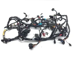 Main Engine Wiring Harness 2001 Triumph Speed Triple 3373