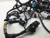 Main Engine Wiring Harness 2001 Triumph Speed Triple 3373