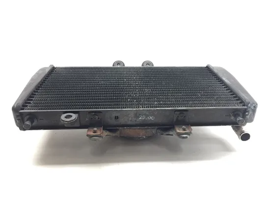 Radiator Cooling Front Fluid with Fan 2001 Triumph Speed Triple 3373