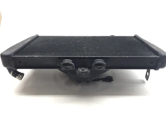 Radiator Cooling Front Fluid with Fan 2001 Triumph Speed Triple 3373