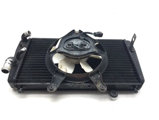 Radiator Cooling Front Fluid with Fan 2001 Triumph Speed Triple 3373