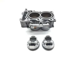 Engine Cylinder Jug 2008 Suzuki Burgman 650 AN650 3351