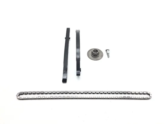 Engine Timing Chain and Guides 2008 Suzuki Burgman 650 AN650 3351