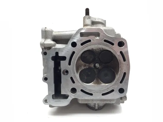 Engine Cylinder Head Complete W Valves Rear 2009 Kawasaki Teryx 750 KRF750G 3322