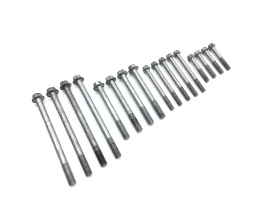 Engine Center Cases Case Bolts 2009 Kawasaki Teryx 750 KRF750G 4x4 FI 3322