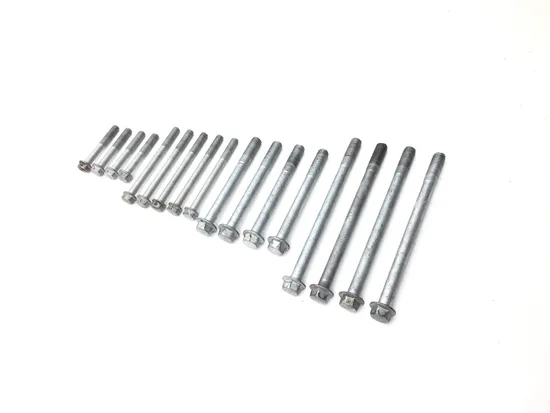 Engine Center Cases Case Bolts 2009 Kawasaki Teryx 750 KRF750G 4x4 FI 3322