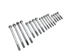 Engine Center Cases Case Bolts 2009 Kawasaki Teryx 750 KRF750G 4x4 FI 3322