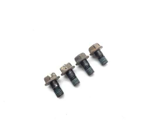 Brake Caliper Bolts 2009 Kawasaki Teryx 750 KRF750G 4x4 FI 3322